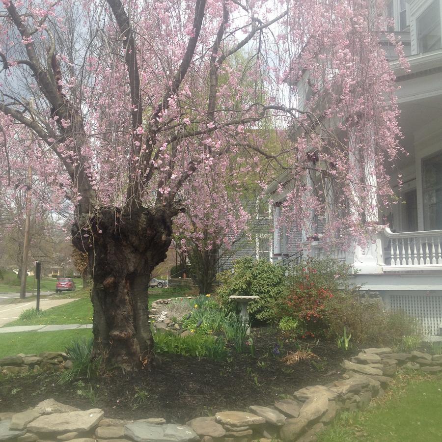 Victorian Charm Inn Towanda Exterior photo